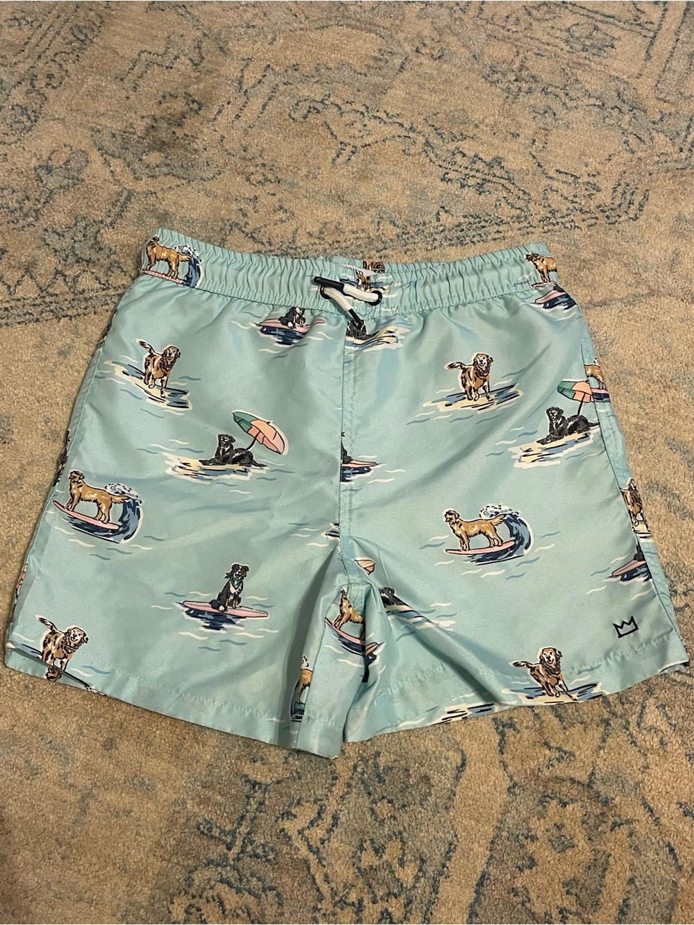 Boy’s Light Aqua Dog Surf Print Swim Trunks
